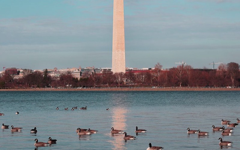 Washington DC, DC: penetration testing coverage