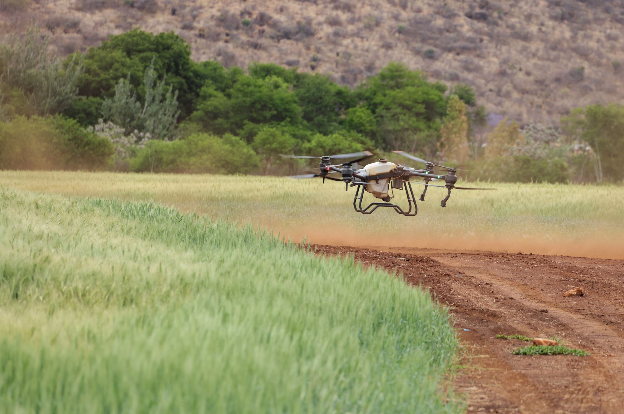 Agriculture sector